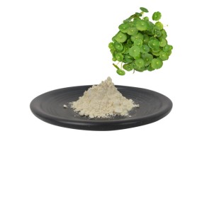 QYherb Supply Plant Extract Gotu Kola Extract Centella Asiatica (L.) Urb. Madecassic Acid 80% Insoluble in Water