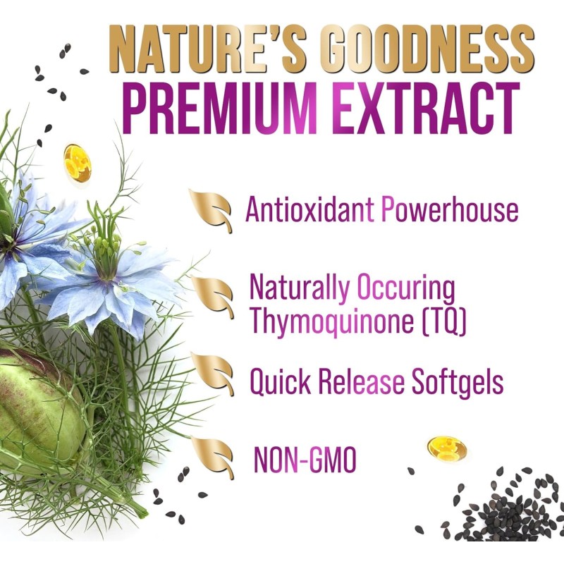 Black Seed Oil Softgel Factory - Low Price Cold Pressed Black Seed Oil Antioxidant