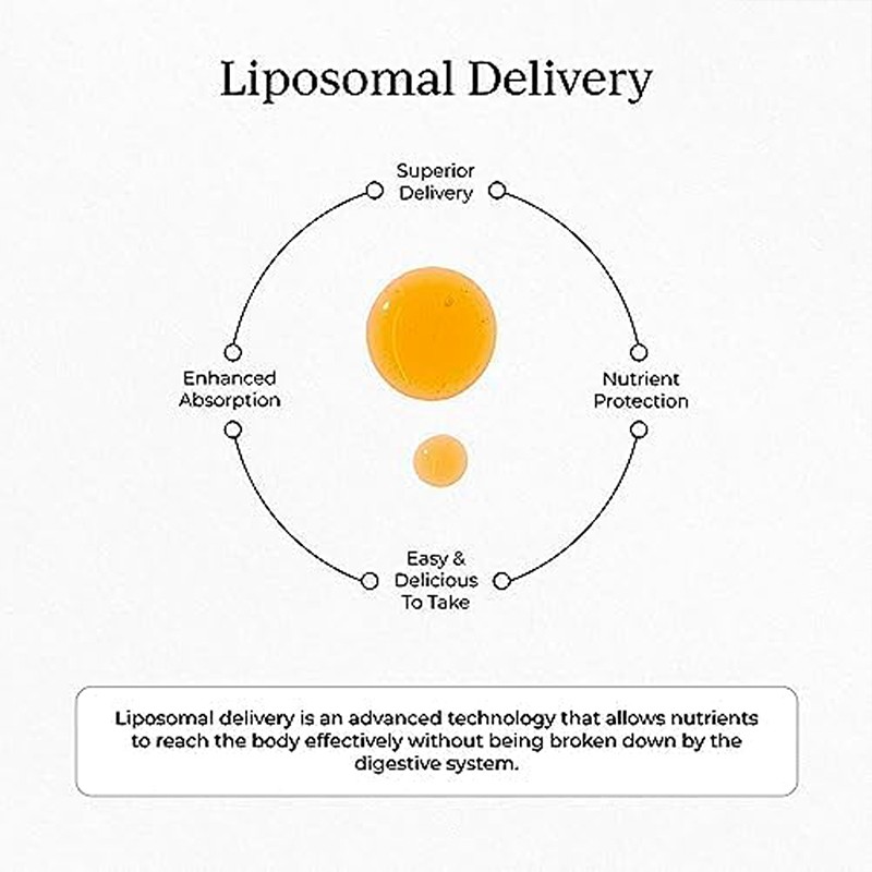 Ginseng Liquid Drops Factory - Vegan Red Ginseng Extract Energy Immune Support Custom