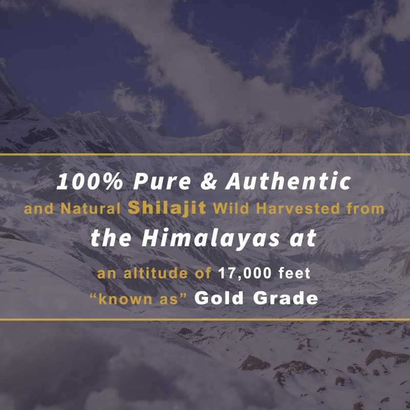 Shilajit Tablets Manufacturer - Himalayan Shilajit Sea Moss Maca Metabolism Immune