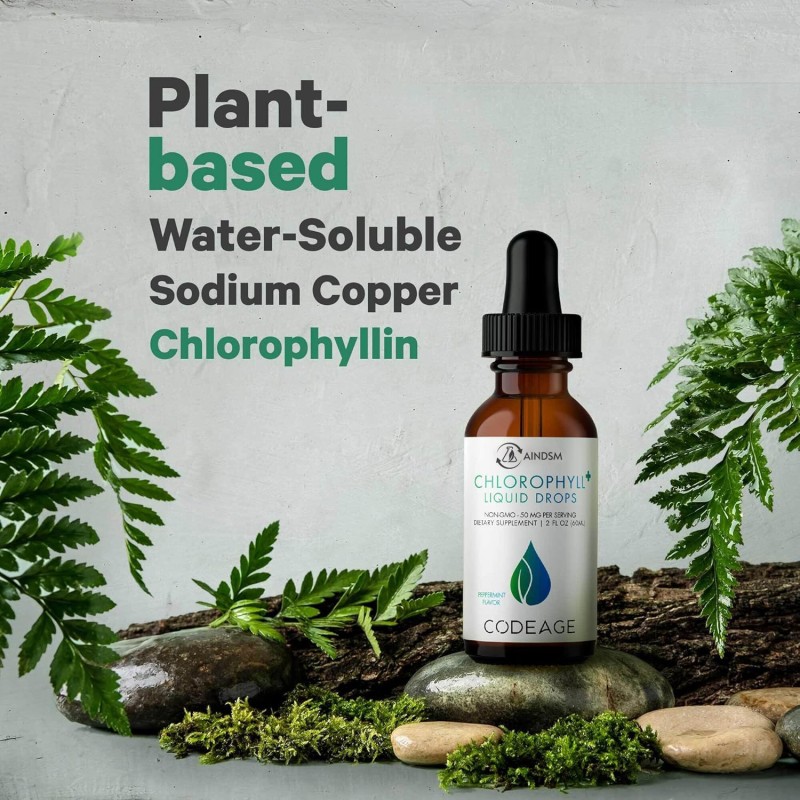 Mullein Leaf Drops Factory - Mullein Leaf Respiratory Health Chlorophyll Extract