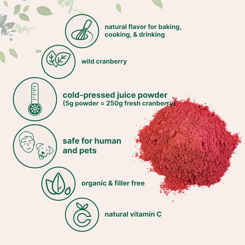 Magnesium Powder Manufacturer - Pomegranate Bisglycinate Memory Sleep Blend Powder