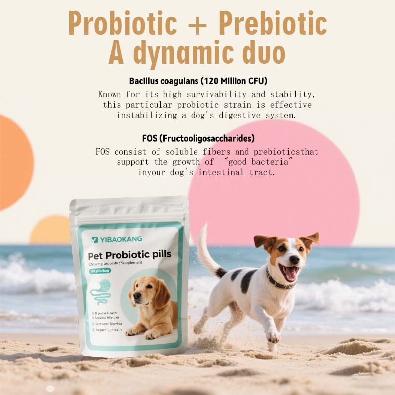 Pet Probiotic Pills Supplier - Dog Gut Health Chewable