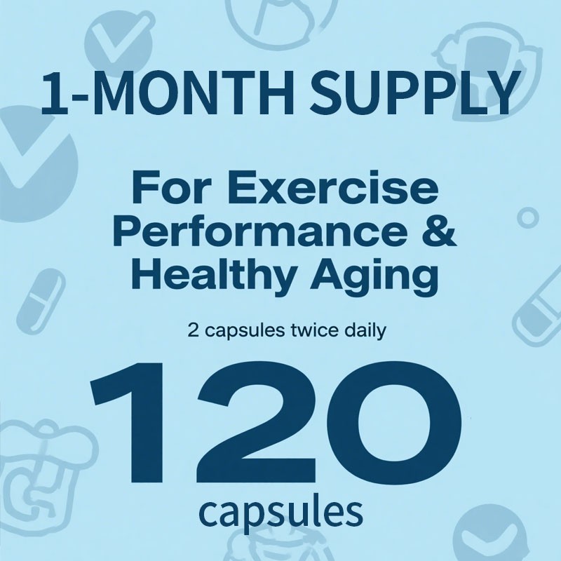 Creatine Monohydrate Capsules Manufacturer - Energy Metabolism