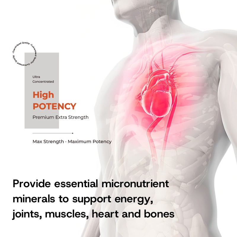 Magnesium Glycinate Capsules Factory - 500mg Sleep Joints