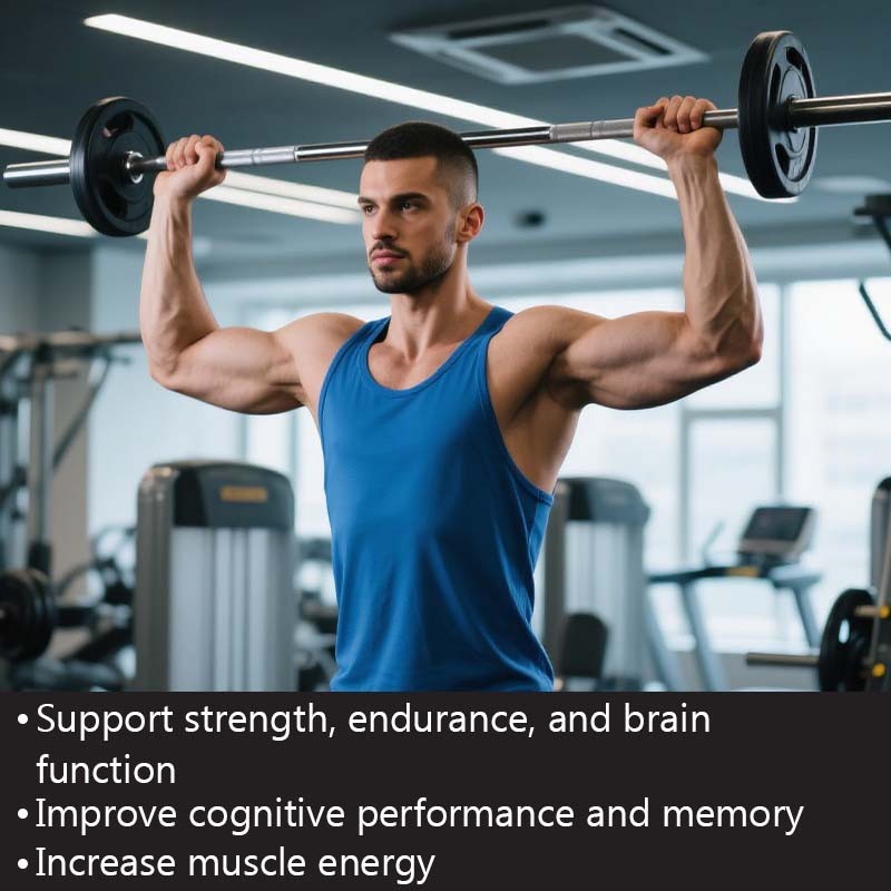 Hydrated Creatine Gummies Supplier - Muscle Growth Strength