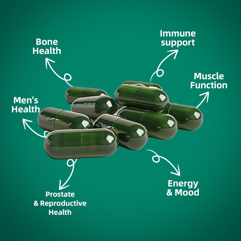 Men's Multivitamin Capsules Factory - 60 Liquid Capsules