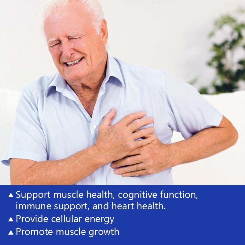 Creatine Capsules Manufacturer - Muscle Cognitive Immune