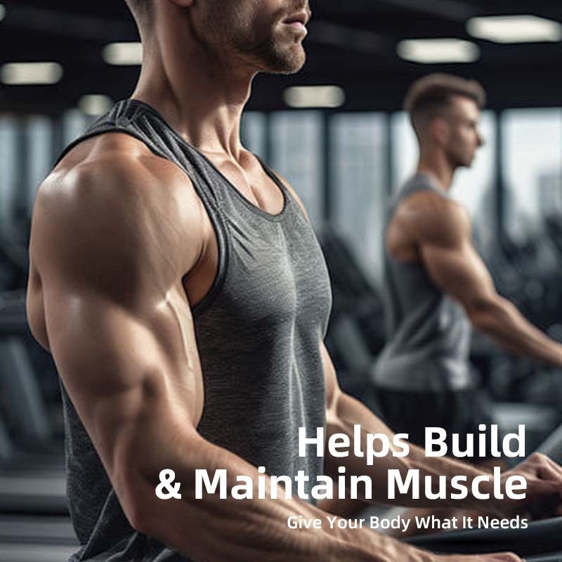 Whey Protein Powder Factory - Banana Cream Lactose Free