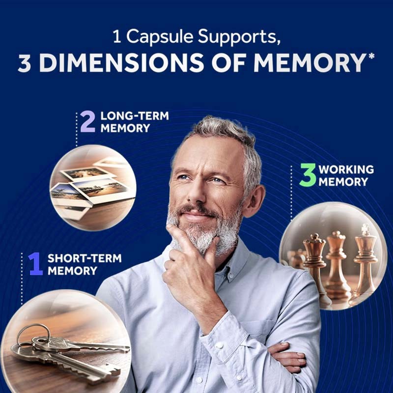 Memory Focus Capsule Supplier - Brain Health Supplement