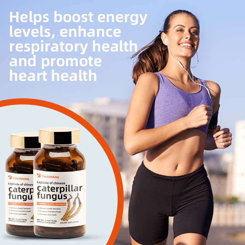 Cordyceps Extract Capsules Supplier - Natural Energy Boost
