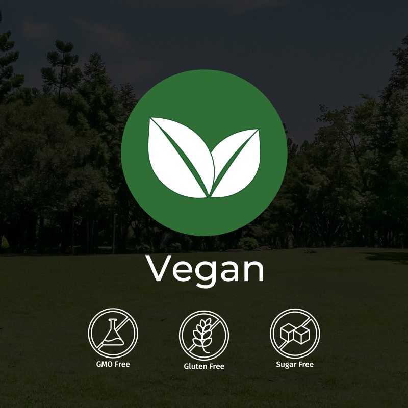 Zinc Gluconate Tablet Supplier - Enzyme Endocrine Support