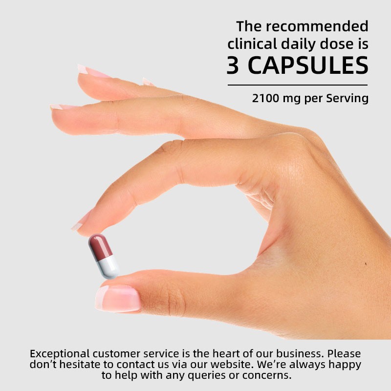 Organic Ashwagandha Powder Manufacturer - Stress Reduction Capsules