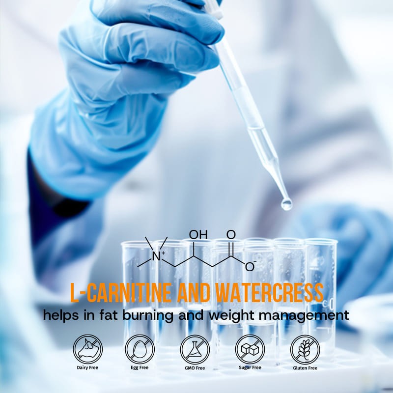 Green Coffee Bean Powder Supplier - Antioxidant Energy Blend