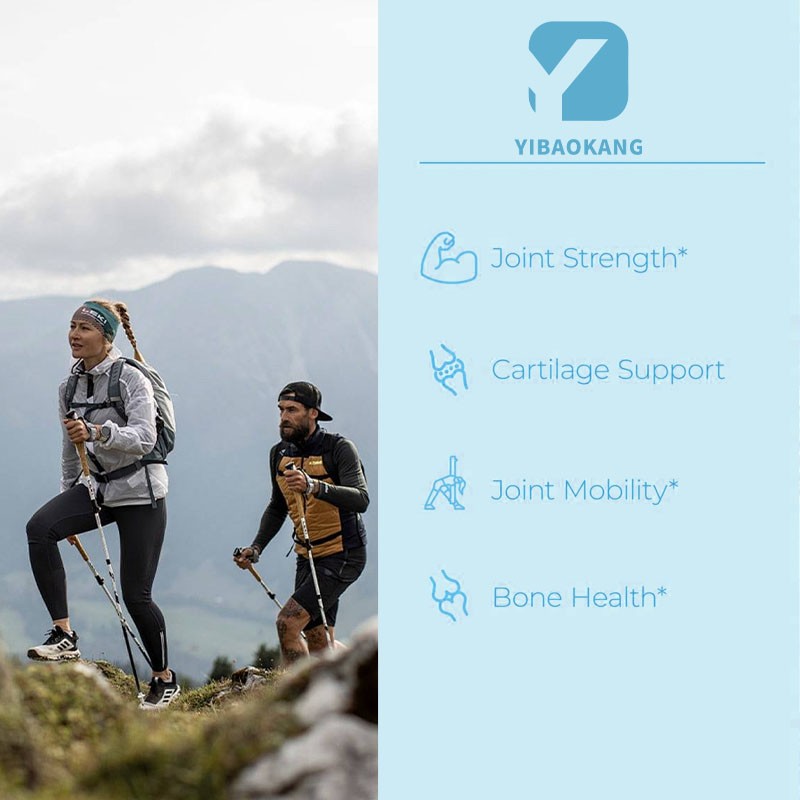 Glucosamine Chondroitin Capsules Manufacturer - Joint Flexibility