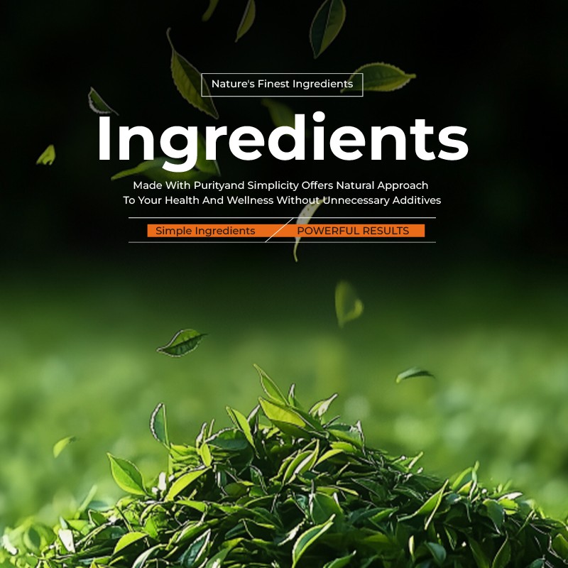 Caffeine Flavor Tea Factory - Private Label Weight Management