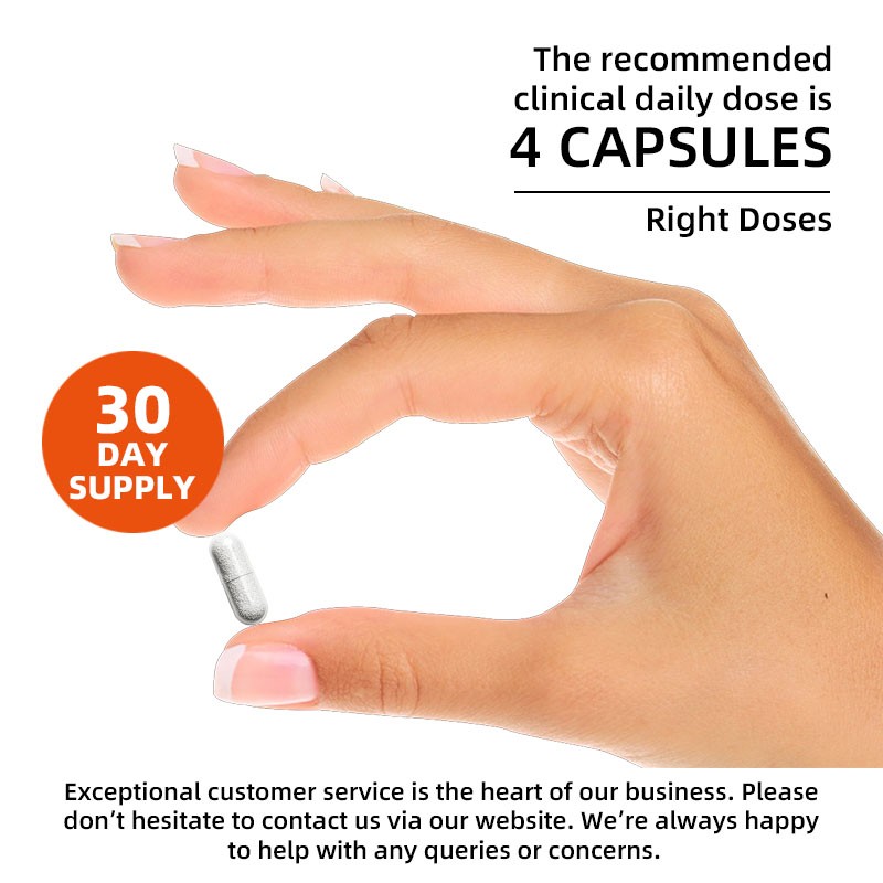 Cordyceps Extract Capsules Supplier - Natural Energy Boost