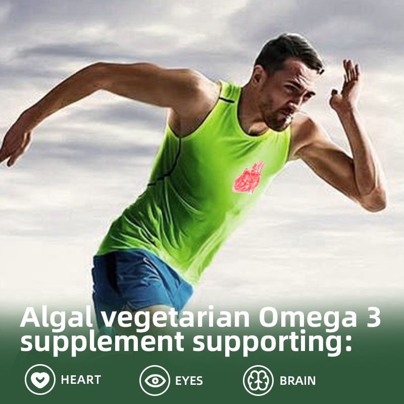 Omega-3 Algae Supplement Factory - Plant Based DHA EPA