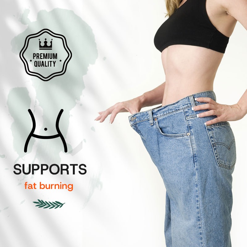 Green Coffee Bean Extract Manufacturer - Fat Burning Appetite