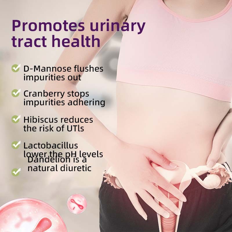 Women Probiotics Capsules Factory - 100 Billion CFU Enzymes