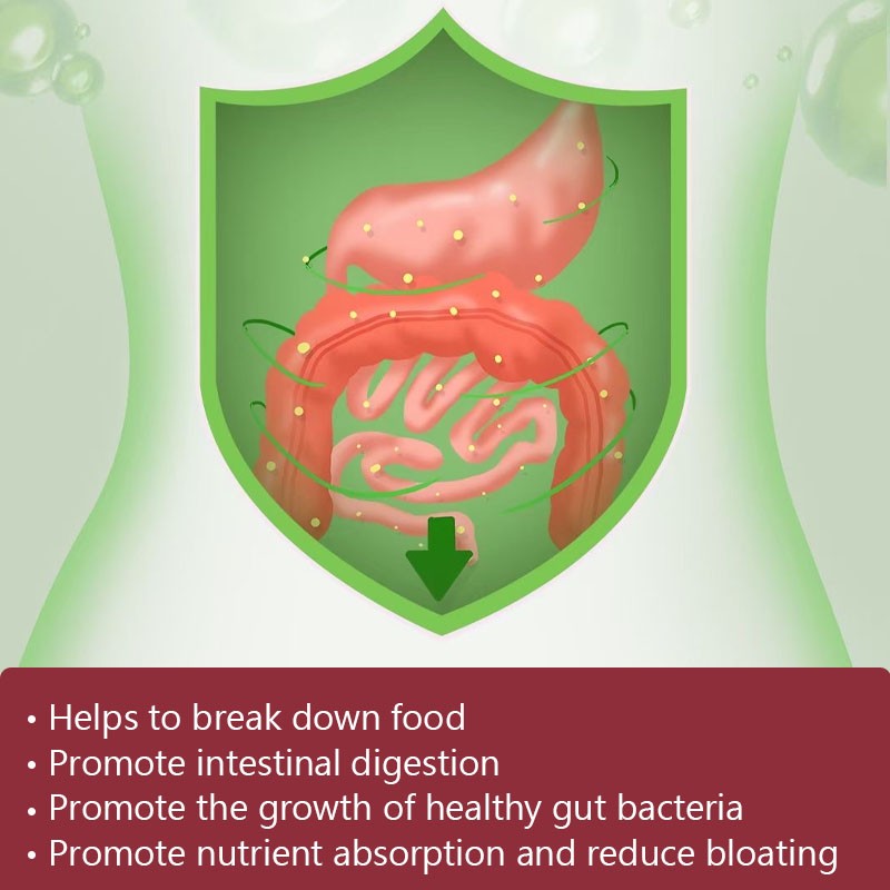 Digestive Enzyme Capsules Manufacturer - Intestinal Digestion