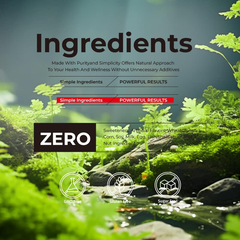 GABA Amino Acid Capsules Factory - 750mg Relaxation Nervous