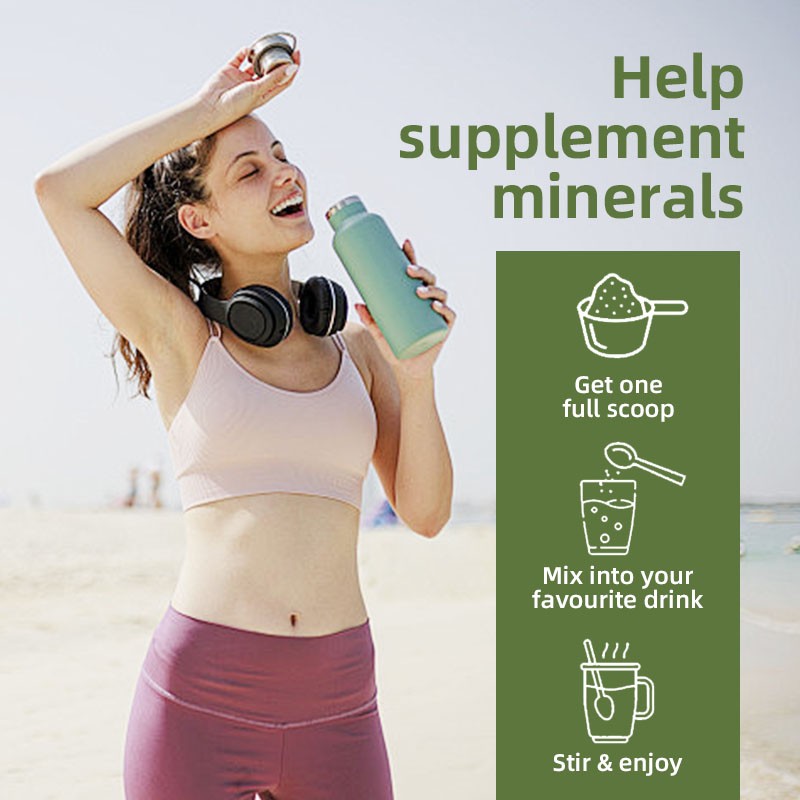 Organic Moringa Powder Manufacturer - Non-GMO Nutritional Powder