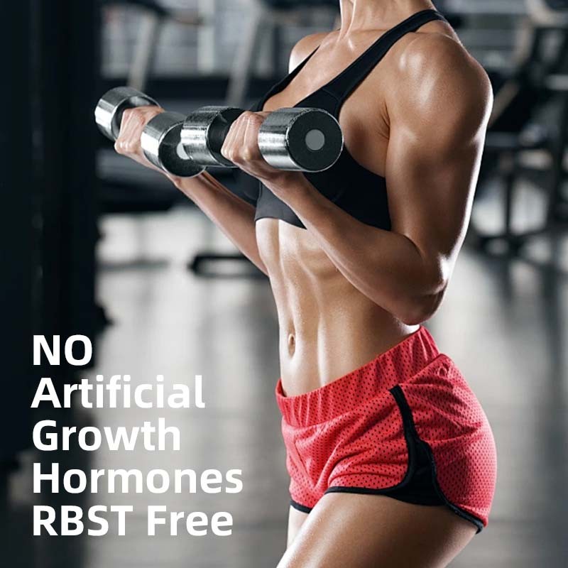 Whey Protein Powder Factory - Banana Cream Lactose Free