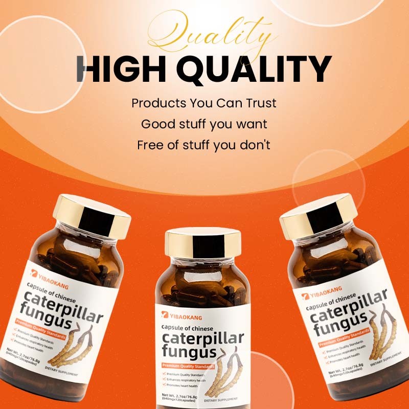 Cordyceps Extract Capsules Supplier - Natural Energy Boost