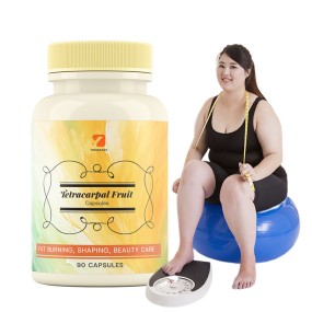 Metabolism Appetite Suppressant Supplier - Fat Burning Capsules