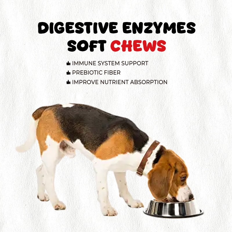 Glutathione Whitening Pills Supplier - Skin Brightening Pills