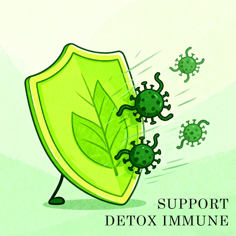 Chlorophyll Liquid Drops Manufacturer - Gut PH Balance