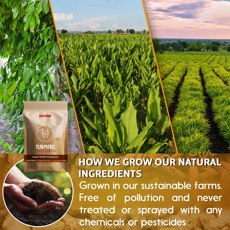 Lemongrass Green Tea Factory - Weight Management Tea