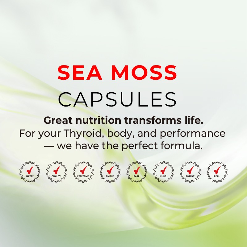 Shilajit Capsules Factory - Energy Fatigue Capsules