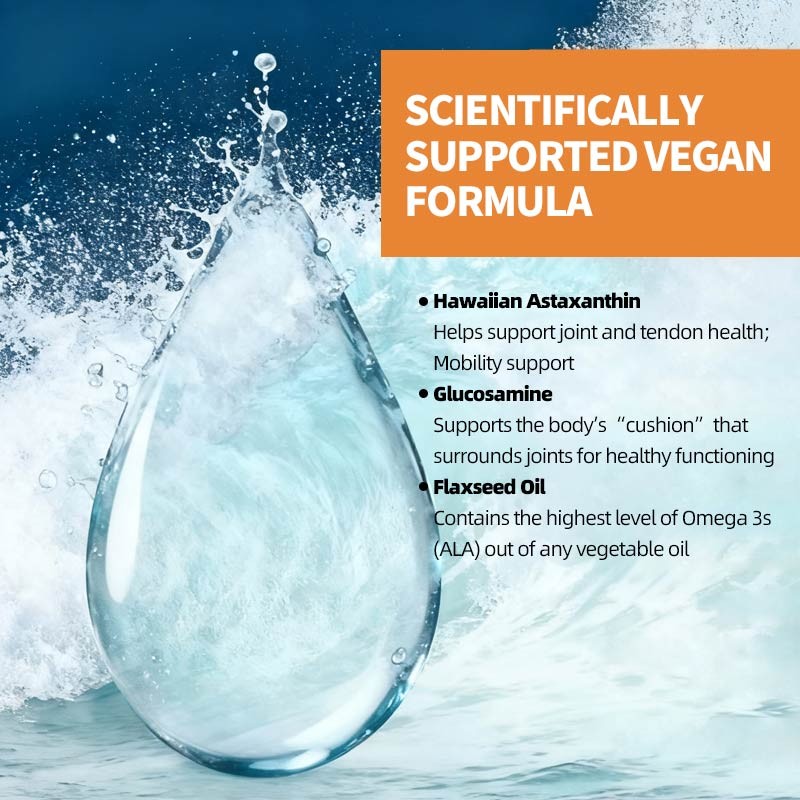 Oil of Oregano Capsules Factory - Digestion Immune Capsules