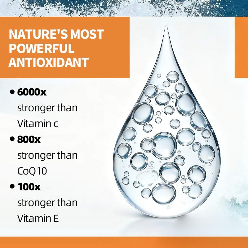 Oil of Oregano Capsules Factory - Digestion Immune Capsules