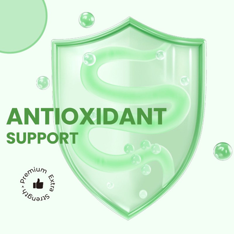 Super Greens Powder Factory - Digestive Immune Powder