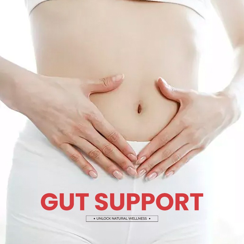 Sea Moss Gel Factory - Digestion Immune Support
