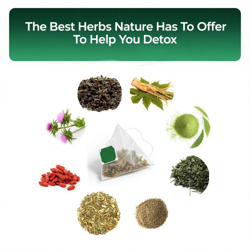 Organic Detox Tea Supplier - 28 Days Green Tea Slimming