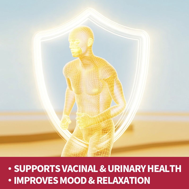 Probiotics Capsules Supplier - Vegan Digestive Capsules