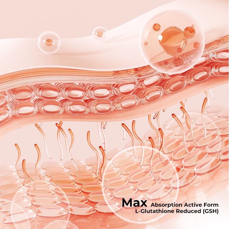 Astaxanthin Softgels Factory - 12mg Antioxidant Softgels