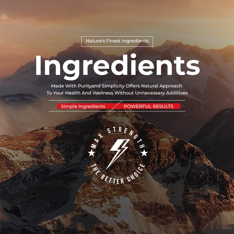 Probiotic Supplements Supplier - Intestinal Health Capsules