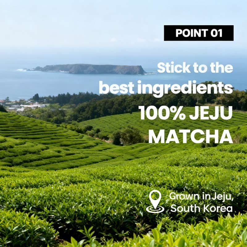 Slimming Powder Factory - Fiber Metabolism Powder