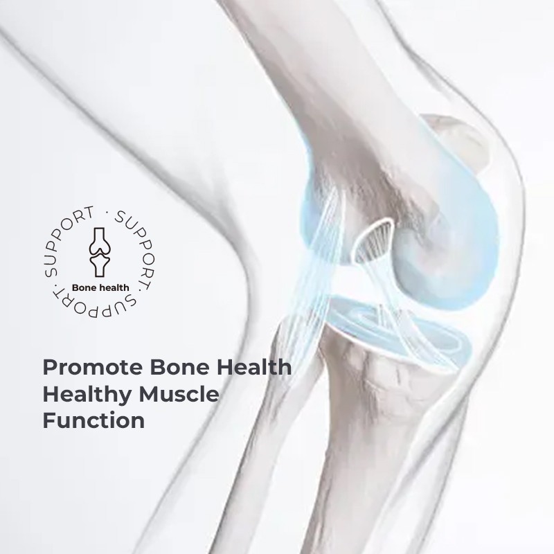 Melatonin Sleep Gummy Supplier - L-Theanine Chamomile