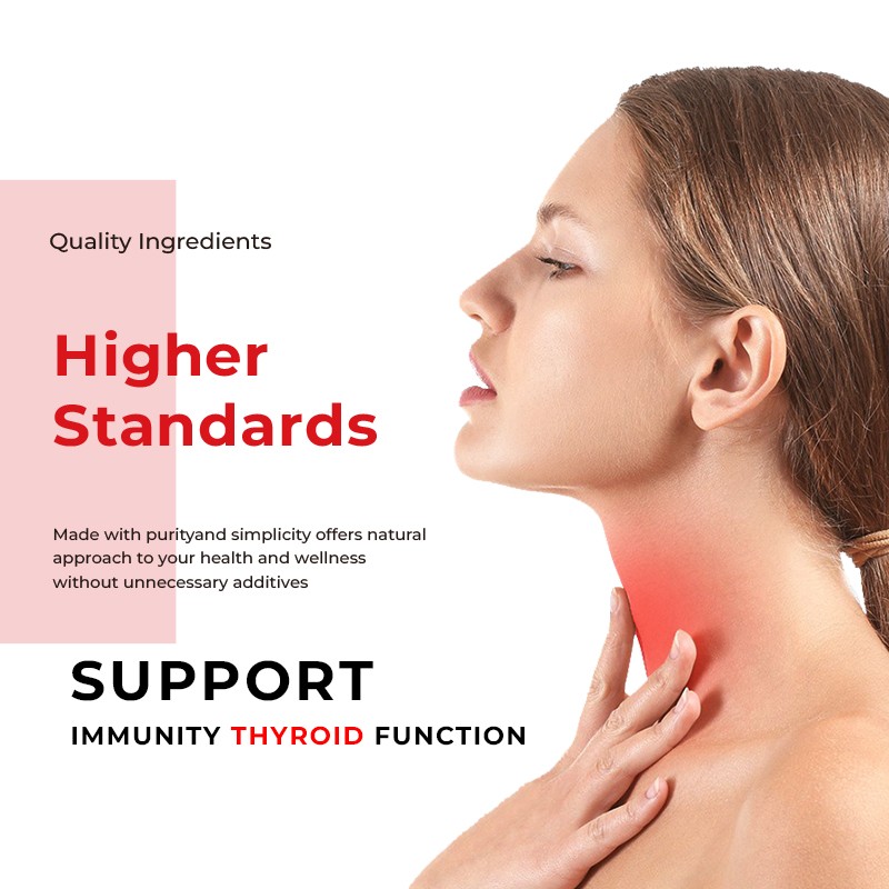 Shilajit Capsules Factory - Energy Fatigue Capsules