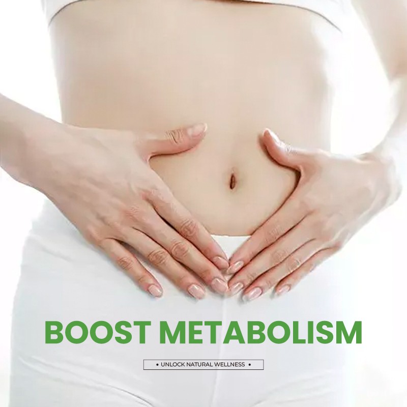 Super Greens Powder Factory - Digestive Immune Powder