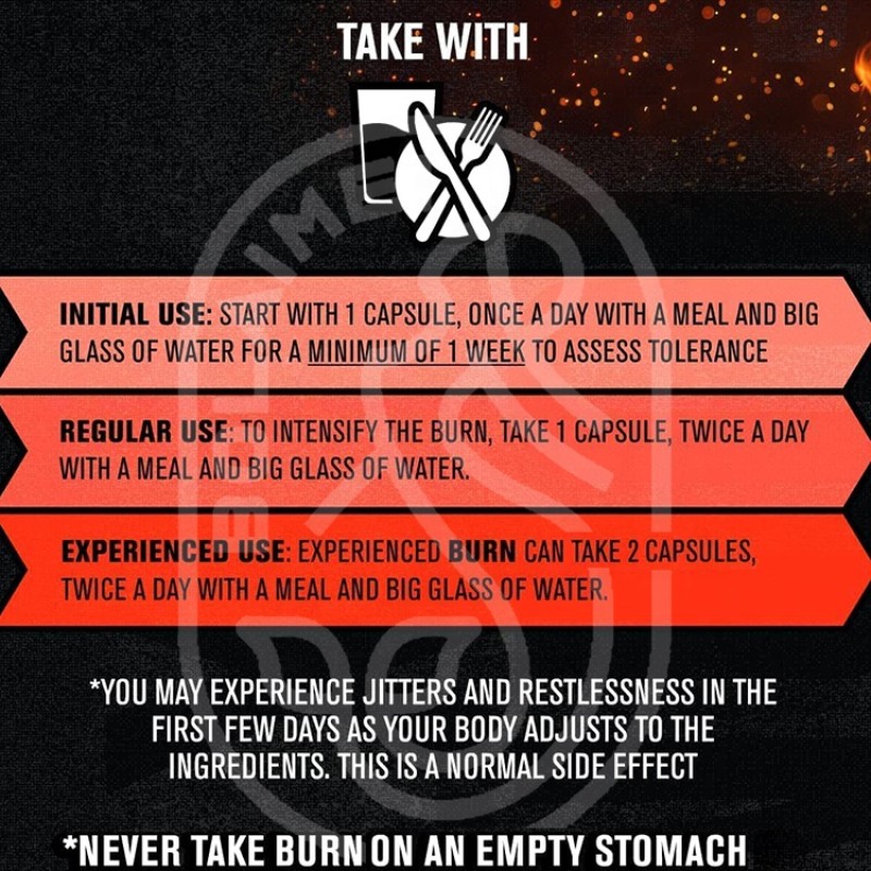 L-carnitine Pills Factory - Chinese Herbal Supplement Man Belly Burn Tablets