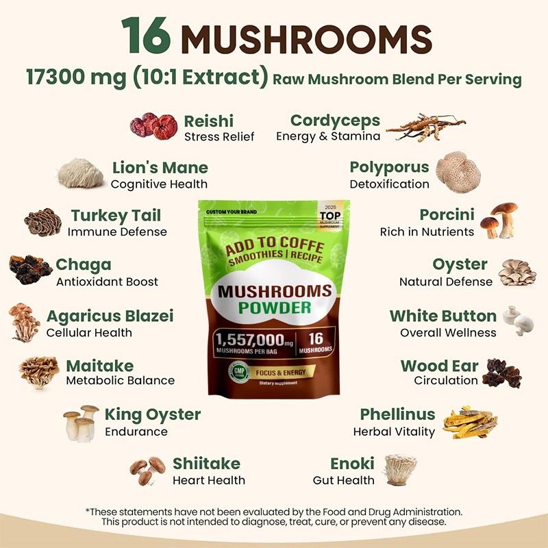 Mushroom Coffee Powder Supplier - Runxin OEM Lions Mane HALAL Certified 120g