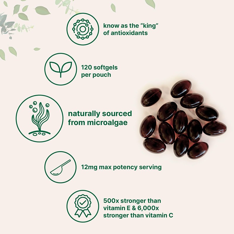 Astaxanthin Softgel Factory - 12mg Antioxidant Non-GMO