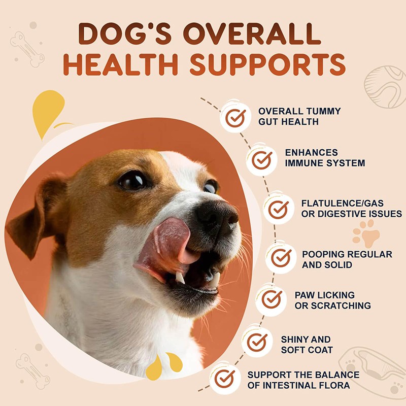 Pet Vitamins Supplier - Digestive Skin Coat Immune Chews